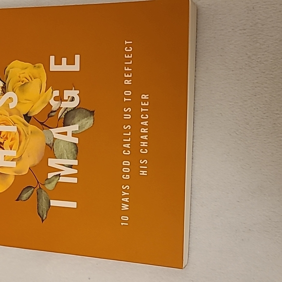 IN HIS IMAGE Chapter Book 🌼 - Picture 2 of 8